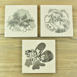 Designer ceramic Beachcombing coasters by Alison Milner