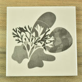 Designer ceramic Beachcombing coasters by Alison Milner