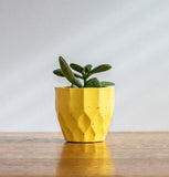 Geometric concrete plant pots by Carlos Dominguez