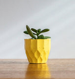 Set of 8 geometric concrete plant pots by Carlos Dominguez
