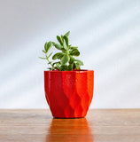 Set of 8 geometric concrete plant pots by Carlos Dominguez
