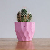 Set of 8 geometric concrete plant pots by Carlos Dominguez