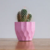 Geometric concrete plant pots by Carlos Dominguez
