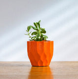 Set of 8 geometric concrete plant pots by Carlos Dominguez