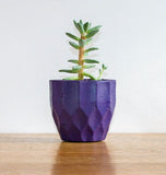 Set of 8 geometric concrete plant pots by Carlos Dominguez