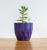 Geometric concrete plant pots by Carlos Dominguez