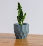 Geometric concrete plant pots by Carlos Dominguez