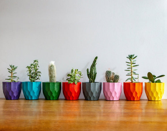 Set of 8 geometric concrete plant pots by Carlos Dominguez